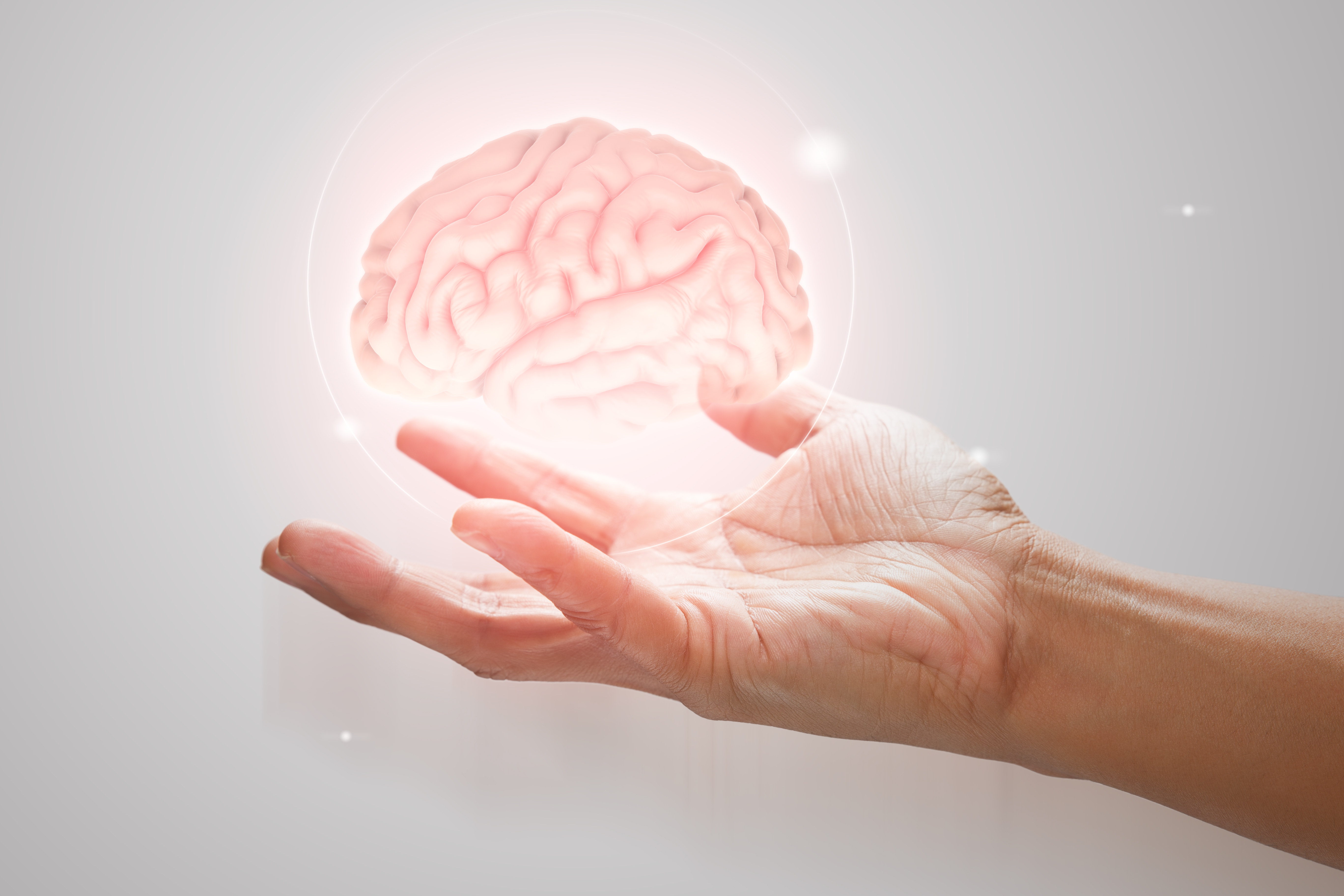 Cerebraflow Plus